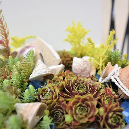 住宿加早餐酒店 Letorina And With Pool 马图利