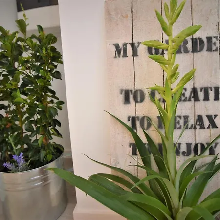 住宿加早餐酒店 Letorina And With Pool 马图利